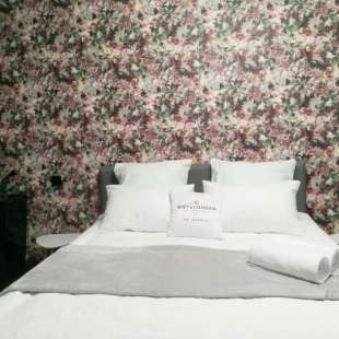 Фотография квартиры Квартира Академик Вишневский