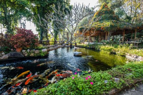 Фотография гостиницы Phu Chaisai Mountain Resort