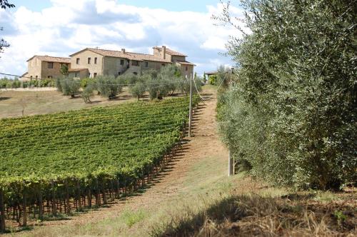 Фотография гостевого дома Linearis Holiday House