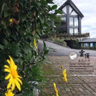 Фотографии мини отеля
Top Cloud Villa