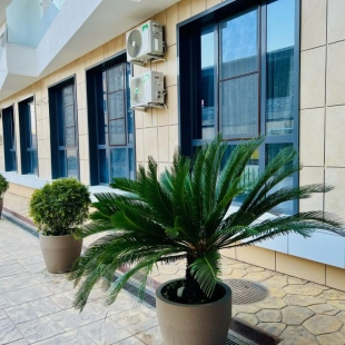 Фотография квартиры Апартаменты в ЖК Крымский ГОСТИ-24