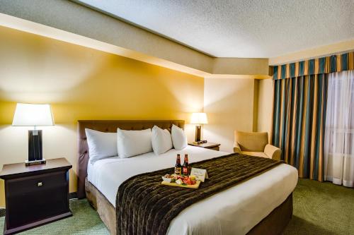 Фотография гостиницы Sawridge Inn and Conference Centre Edmonton South