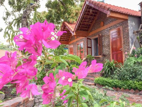 Фотография мини отеля Tam Coc Tropical Homestay