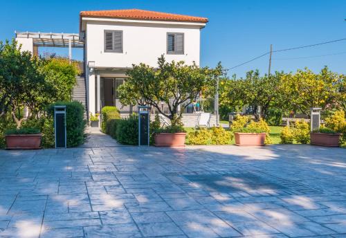 Фотография гостевого дома Villa Sara