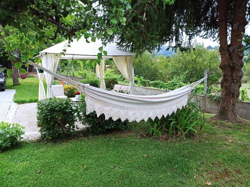 Фотография гостевого дома Casa do Avô Manuel