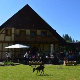 Фотографии гостиницы
Verena's Parkhotel
