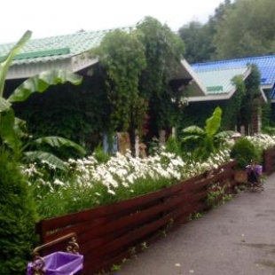 Фотография кемпинга Гостевая Усадьба