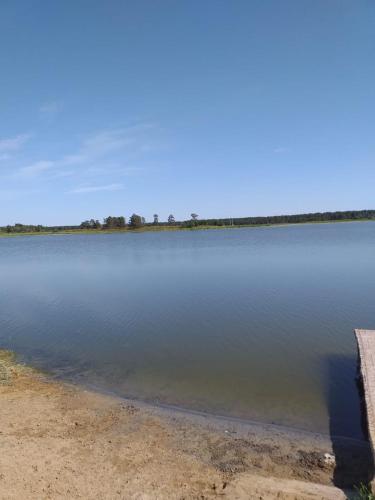 Фотографии кемпинга
Horse