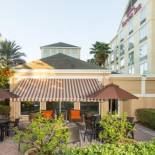 Фотография гостиницы Hilton Garden Inn Jacksonville Airport