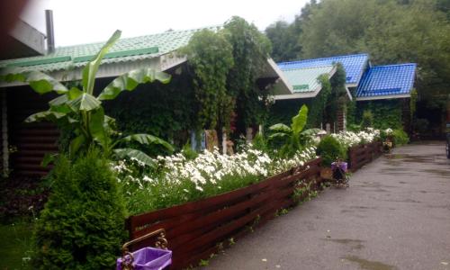 Фотография кемпинга Гостевая Усадьба