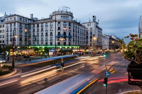 Фотография хостела Bauhaus Astoria Hostel