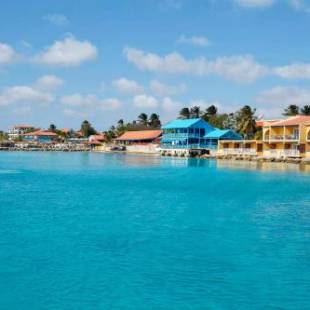 Фотографии гостиницы 
            Divi Flamingo Beach Resort