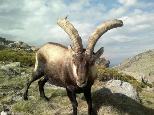 Фотография гостевого дома Artesano II