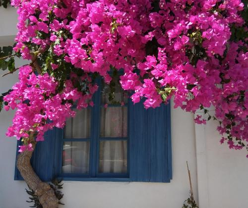 Фотография гостевого дома Chez Cécile Home