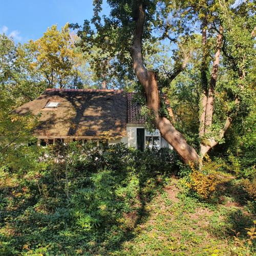 Фотография гостевого дома Cottage Uylenhorst, De Witte Bergen 34