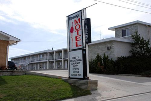 Фотография мотеля Flamingo Motel