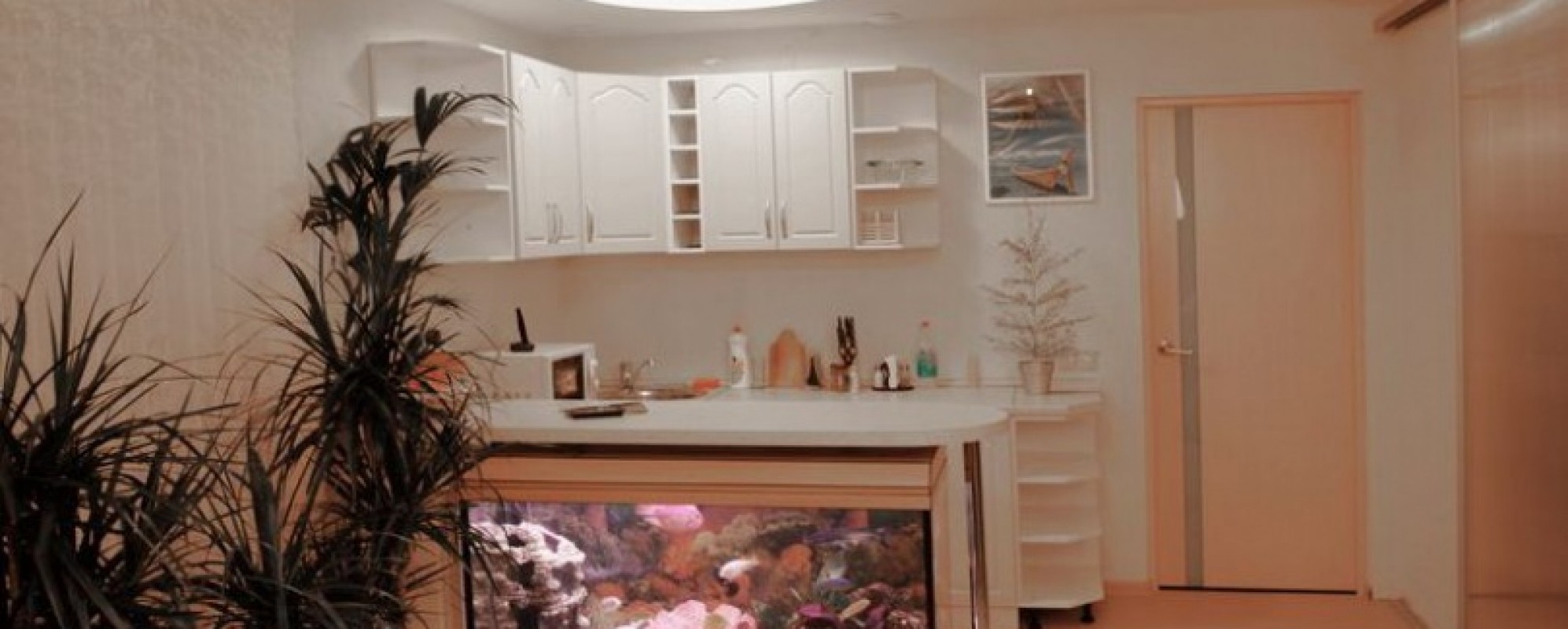 Фотографии мини отеля
Лагуна