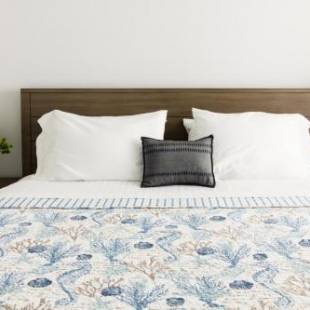 Фотографии гостевого дома 
            The Web Suites