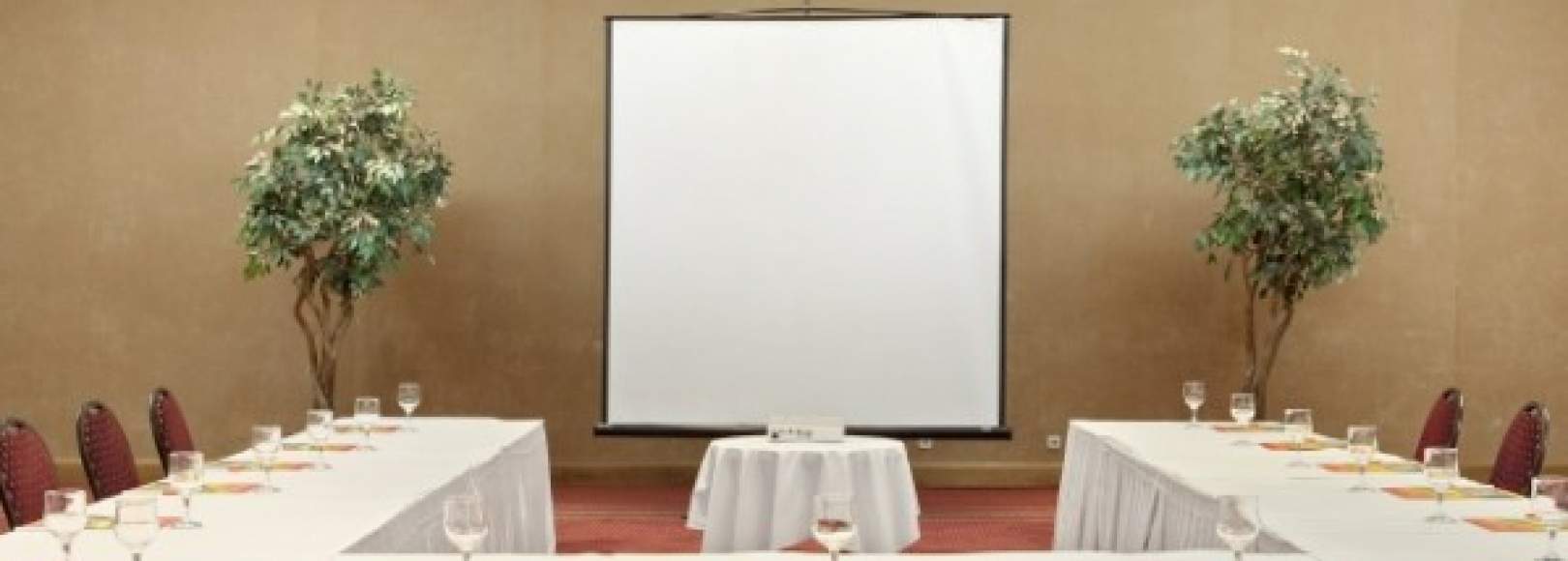 Фотография конференц-зала Mumbai