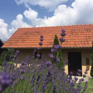 Фотографии гостевого дома
Garden 022