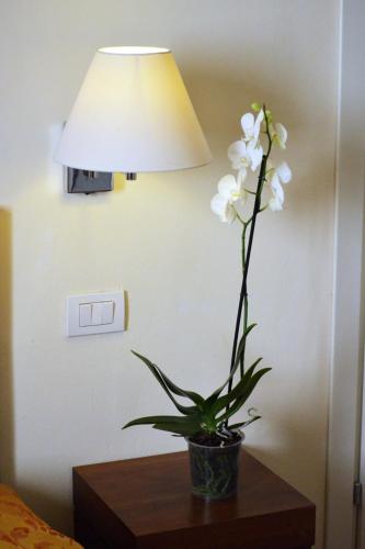 Фотография гостевого дома Toscani da sempre