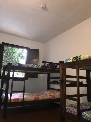 Фотография хостела XaviHostel