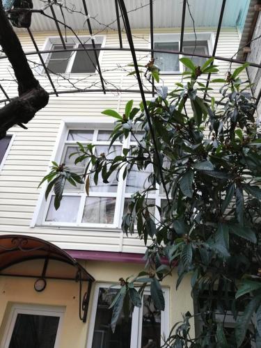 Фотографии гостевого дома
Зорка