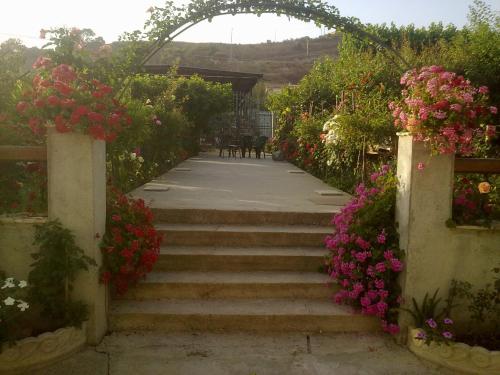 Фотография мини отеля Villa delle rose