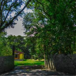 Фотографии мини отеля
Pousada Chalé Amoreira