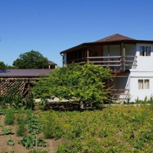 Фотография гостевого дома Дубрава