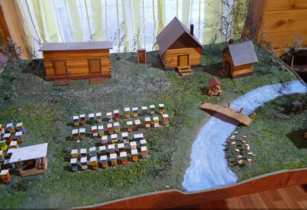 Фотография музея Музей пчеловодства