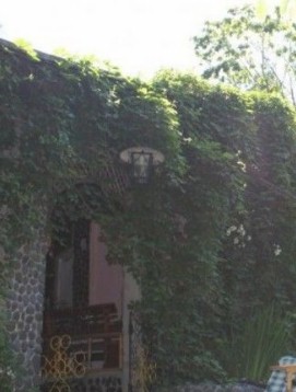 Фотография базы отдыха Дельфин Витязь