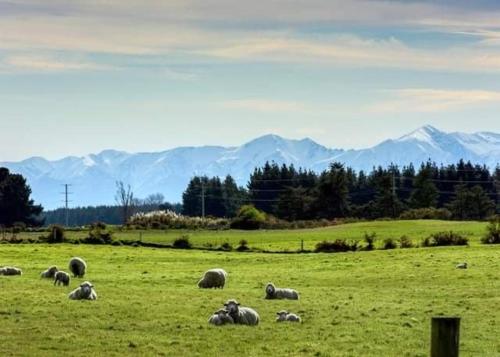 Фотография мини отеля Gem bed and breakfast