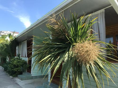 Фотографии гостевого дома
Веранда