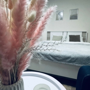 Фотография квартиры Квартира 1-к Квартира Загоровского 7к3