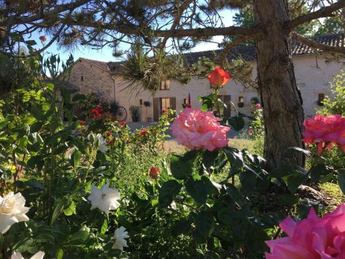 Фотография гостевого дома Gites dans les Champs