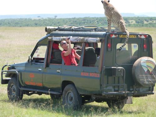 Фотография базы отдыха Fig Tree Camp - Maasai Mara