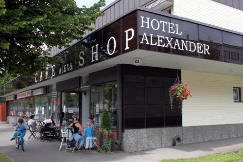 Фотография гостиницы Hotel Alexander