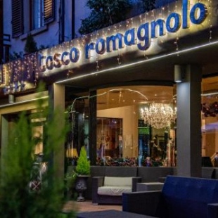Фотография гостиницы Hotel Tosco Romagnolo