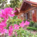 Фотография мини отеля Tam Coc Tropical Homestay