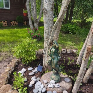 Фотография Коттеджа Частный дом в лесу у реки