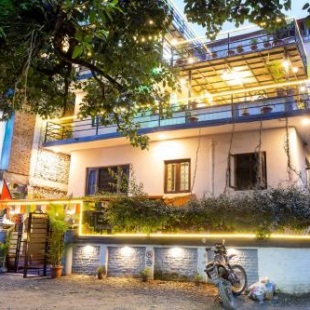 Фотография хостела Big Tree Hostel