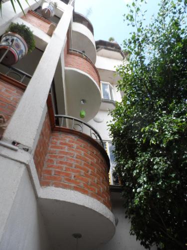 Фотография гостиницы Hotel Internacional Malitsin