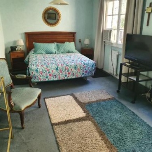 Фотография гостиницы Hotel Foresta