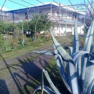 Фотография гостевого дома Веранда Шевченко нино