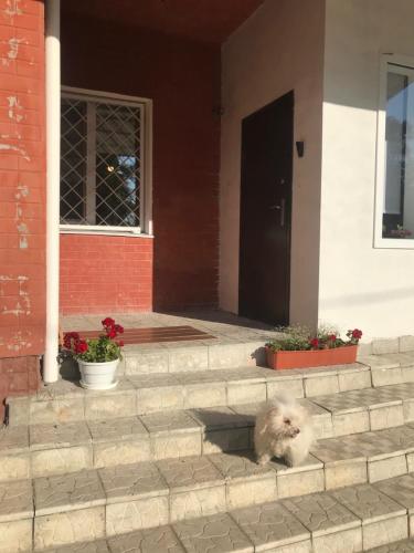 Фотография хостела Manna Kasha