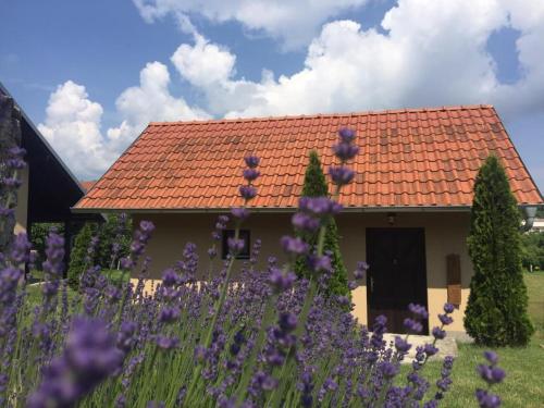 Фотография гостевого дома Garden 022