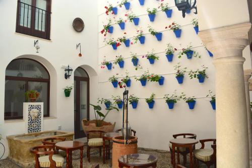Фотография гостиницы Hotel Marisa
