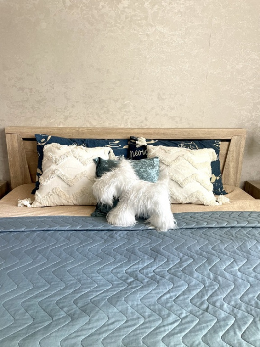 Фотографии квартиры 
            Апартаменты КВАРТ отель на Фирсова