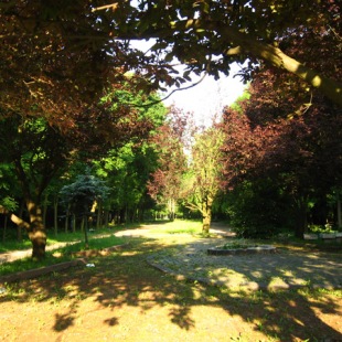 Фотография Скниловский парк